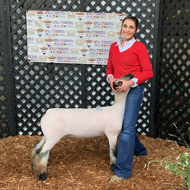 Petersen Club Lambs Winners