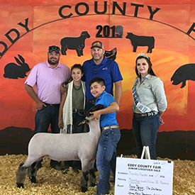Petersen Club Lambs Winners