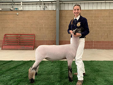 Petersen Club Lambs Winners